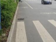 太湖：5歲幼女牽著大人的手過馬路被撞傷 交警認定三方擔責