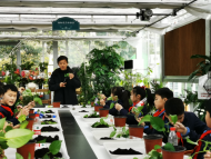 手把手教孩子植物扦插 合肥翡翠湖風(fēng)景區(qū)開展“科普講堂”
