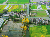 春游江淮請(qǐng)您來(lái)|魅力六郎萬(wàn)畝油菜花盛開(kāi) 成游客踏春網(wǎng)紅打卡地