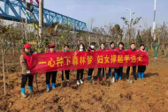 南淝河畔春意濃，合肥駱崗街道開展義務(wù)植樹活動