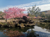 崔立：一縷陽(yáng)光