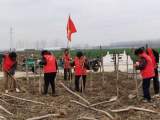 亳州市利辛县孙庙乡：积极参与植树造林 共建美好家园