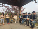 肥西县官亭林海：樱花树下书香浓
