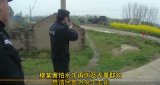 疯牛伤人 定远民警果断击毙