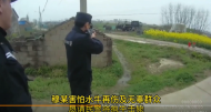 瘋牛傷人 定遠(yuǎn)民警果斷擊斃