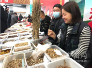 春游江淮请您来｜到亳州，药食同源不能少