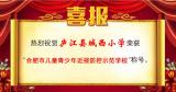 廬江縣城西小學喜獲“合肥市兒童青少年近視防控示范學校”稱號