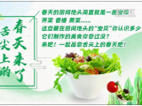 MG動畫：真香！舌尖上的春天來了
