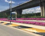 合肥市明珠路下穿何时通车？目前进度如何？官方回复