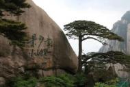 游客翻護欄進入迎客松保護區 黃山風景區：未碰到迎客松，已批評教育