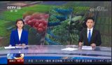 [朝闻天下]“菜篮子”保供·农业农村部 供应充足 蔬菜价格大幅上涨可能性不大