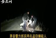 阜陽兩男子沒錢過年　乘公交走到哪偷到哪