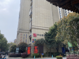 如何规范管理校外培训机构？  合肥这四个区交出“答卷”
