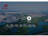 春游江淮请您来 | 蒲青露白淮水湝湝 暖阳和风阜阳迎春