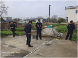 合肥肥东众兴乡：排查罂粟种植