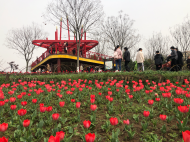 春游江淮請您來|陽春三月好風光！合肥四季花海里賞春