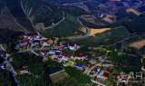 皖南第一“華僑村”槐塘村掀起“回巢”創業潮