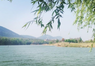 官方回復網(wǎng)友關(guān)于“淮南大通區(qū)十四五規(guī)劃期間發(fā)展方向”問題