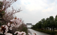 春游江淮請(qǐng)您來(lái)｜合肥發(fā)布春季賞花路線及賞花地圖