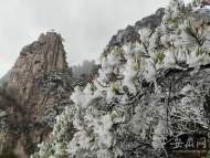 黃山西海大峽谷和蓮花峰臨時關閉