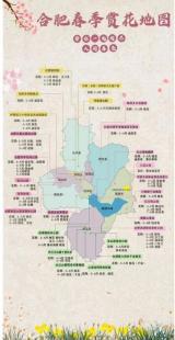 合肥發(fā)布4條踏春賞花線路，涉及巢湖多地