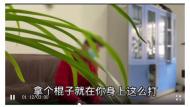 打工變打