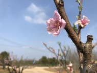 朱玉培：愛情隧道，一個詩意的名字