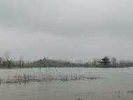 春游江淮請您來|皖北水鄉人杰地靈賽江南 春光旖旎游園嬉水恰逢時
