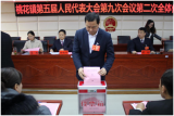 肥西县桃花镇：问计于民 让民意决定民生