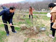 淮南：主題黨日植綠忙