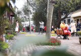 三月春光惹人醉  合肥植物园里添美景（图）