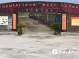 【民族要复兴 乡村必振兴】金沙西洛街道：让村民在家门口就业致富