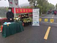 紙錢香燭換成鮮花和絲帶 肥西引導市民綠色文明祭掃