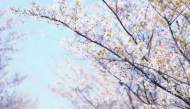 章銅勝:透過文字，我們看見了什么