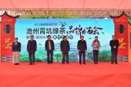  池州霄坑綠茶正式開園！貴池著力打造“霄坑綠茶”等區域公用品牌  