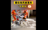 無(wú)為：大蛇藏身電動(dòng)車(chē)擋風(fēng)  車(chē)主被嚇壞報(bào)警