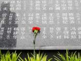 新华全媒+ | 清明祭英烈：当新四军老战士来到战友墓前