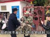 国家二级保护动物大雁受伤掉队  六安警民携手及时救护