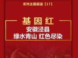 基因红丨安徽泾县：绿水青山 红色尽染