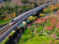 長三角鐵路清明小長假發(fā)送旅客超千萬 客流恢復(fù)至2019年同期98.9%