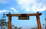 阜南白集村