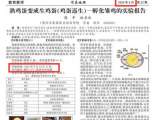 熟蛋返生孵小鸡论文作者郭某：论文系朋友代写