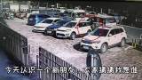 国保级大雁受伤掉队 动物园内吓傻同居小鸟