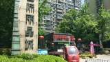 合肥一小區(qū)居民投訴綠化樹木被“剃光頭”