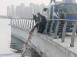 蚌埠市龍子湖2021年將投放魚苗200萬尾