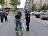 合肥花冲派出所开展养犬管理集中整治行动 共收治流浪犬26只