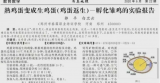 河南一校長發表熟雞蛋返生孵出小雞論文 當事人獨家回應：如何做到是“核心機密”