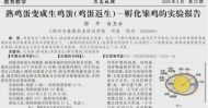 河南一校長發表熟雞蛋返生孵出小雞論文 當事人獨家回應：如何做到是“核心機密”