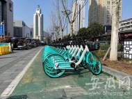   合肥共享單車管理走出新路：省內首創招投標方式管理