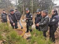 偷盜天柱山松樹 6名犯罪嫌疑人被抓獲歸案